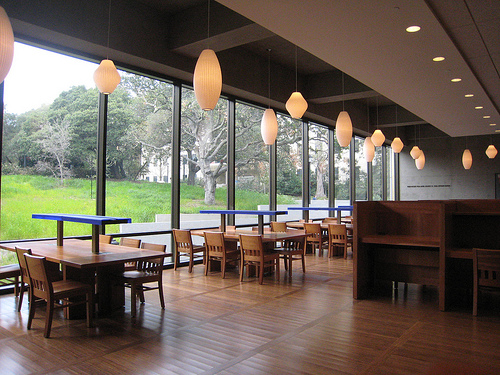 Outlook from the Reading Room in the Starr East Asian Library (2008)