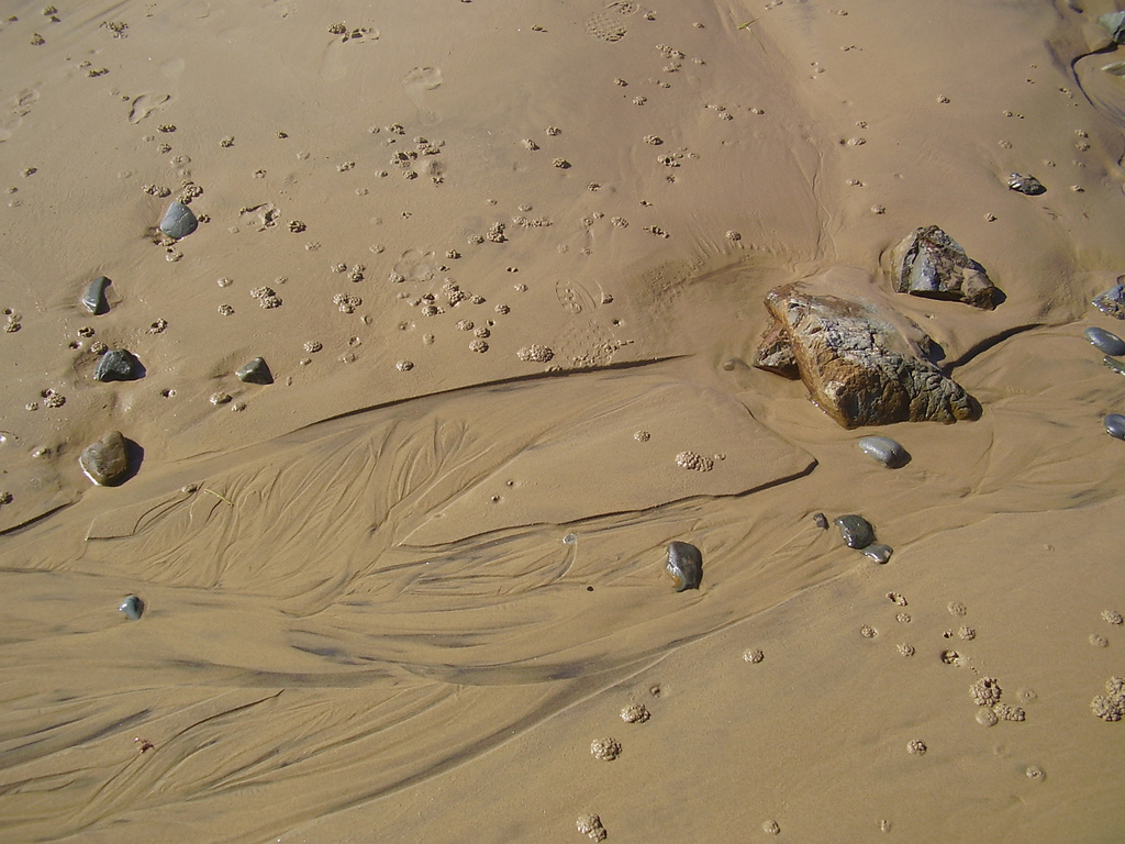 Sand patterns with crab castings, Sandy Beach, NSW, Australia.