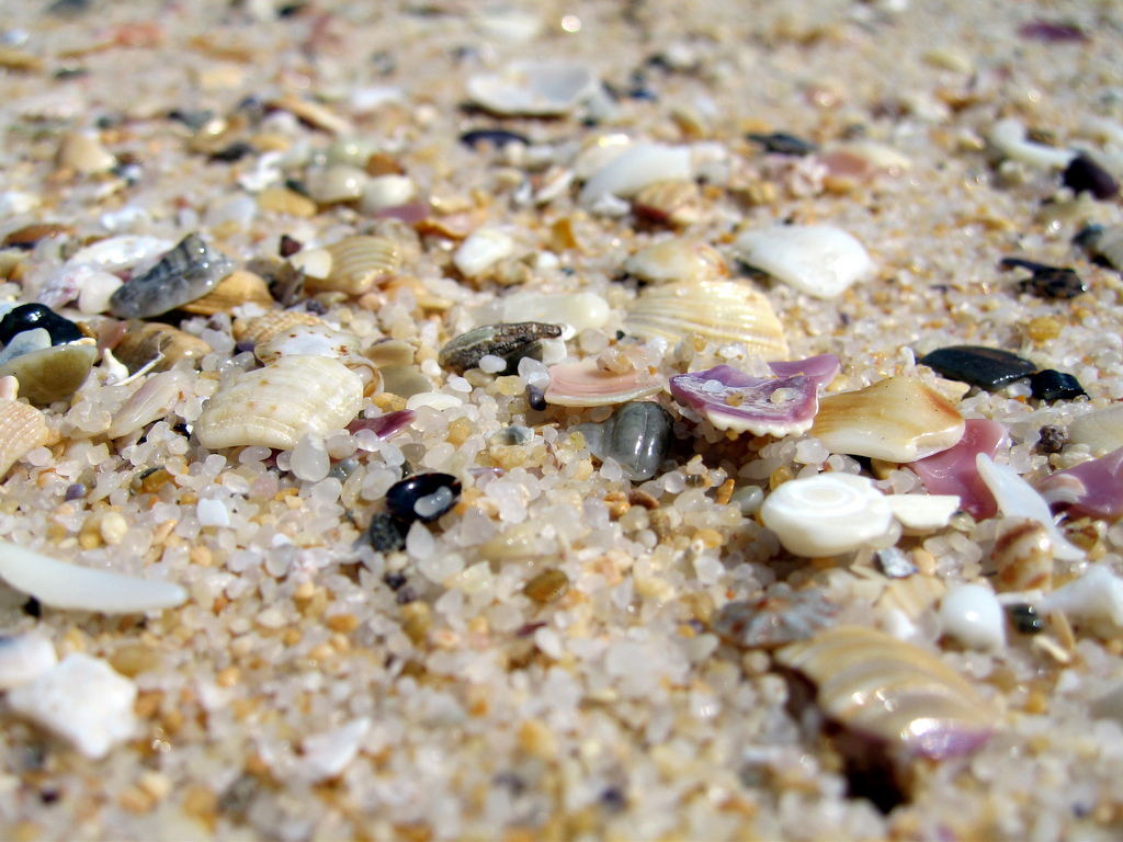 Merimbula Beach (sand and shells)